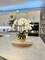 Amira Large Real Touch Phalaenopsis Orchid Floral Arrangement in Round Ribbed Gold Vase